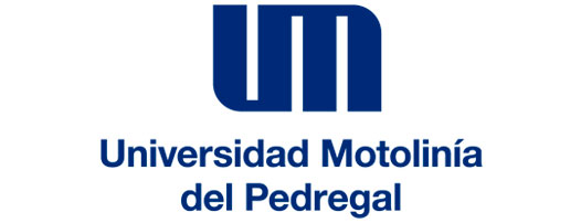 Logotipo de Universidad Motolinía del Pedregal